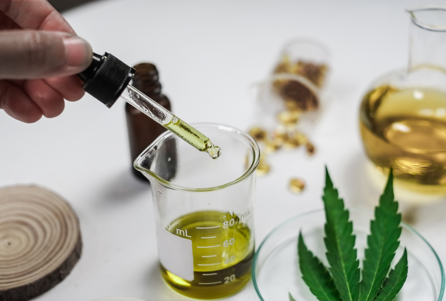 CBD North Full Spectrum: Quality Products for Canadian Consumers